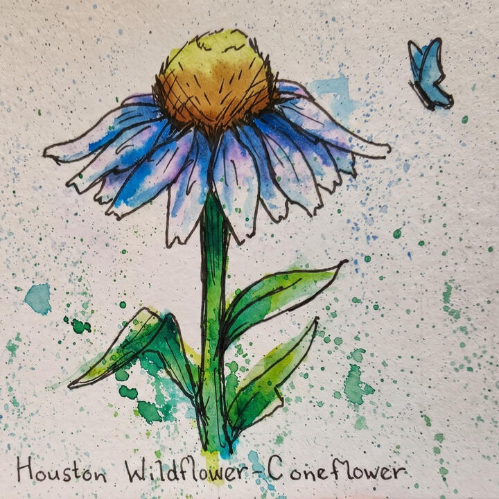 Houston Flower Houston Flower